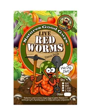 NaturesGoodGuys Live Red Worms 600 Adults - Red Wigglers