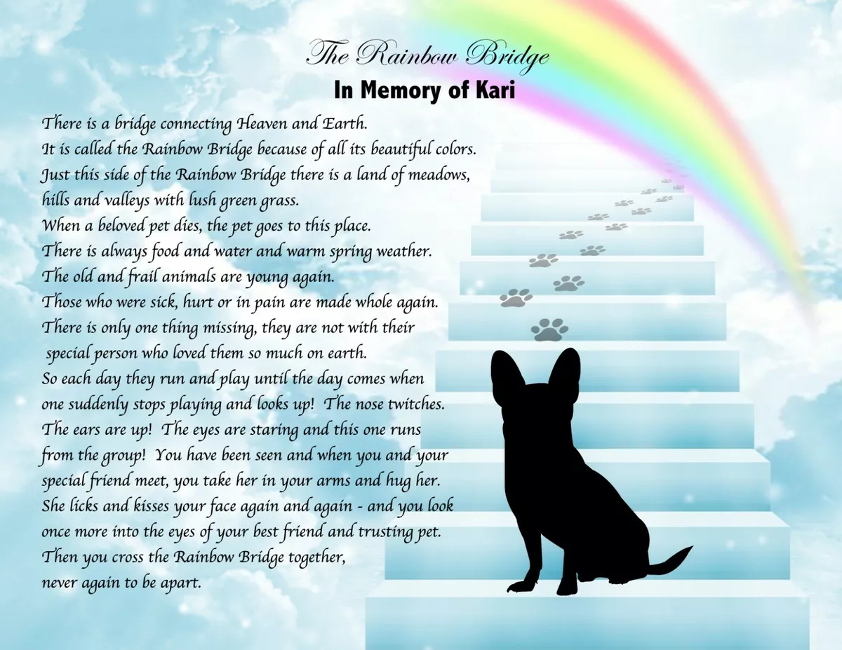 rainbow bridge poem for dogs printable