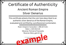 Certificate of Authenticity Add-On (originalskincoins)