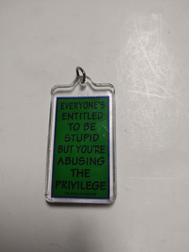VTG Keychain Funny Stupid People Joke Green Rectangle Korea 1990s Key ...