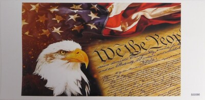 We the People 1776 USA Eagle Vinyl Decal Bumper Sticker