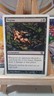 English MTG Regular Megrim 8th Edition Magic the Gathering    1