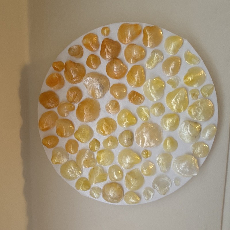 Handmade Mixed Shell Pieces Lot - Assorted Colors Yellow & White