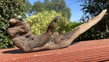 DRIFTWOOD Natural Freshwater TERRARIUM Aquarium DECOR Crafts 11.5" LIZARD Bridge