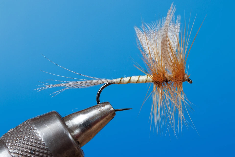 Fliegentom - Sortiment von 6 klassischen Maifliegen - Bild 2 von 4