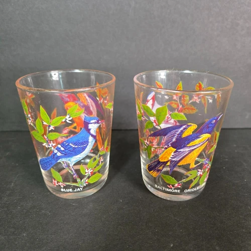 Set (2) Bird Juice Glass Small Tumbler Arcoroc France Blue Jay Baltimore Oriole