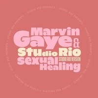 7-Sexual Healing | Marvin Gaye & Studio Rio | Schallplatte | Single Schallplatte