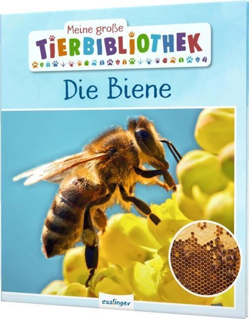 Esslinger Meine Grosse Tierbibliothek: Die Biene, Kinderbücher Von Paul Starosta - Bild 2