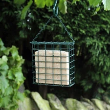 Suet Fat Cake Garden Bird Feeder Block Holder Green Metal With Hanging Chain ?