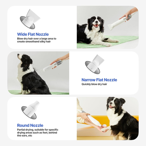 Dog Grooming Dryer Portable, Fast Drying, F1 Pet Hair Dryer High Speed, Quiet, - Picture 2 of 12