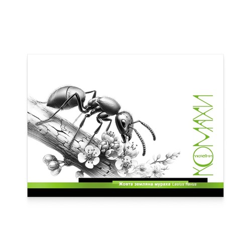 UKRPOSHTA “Insects of Ukraine” 2024 Ukrainian Stamp Set - Picture 6 of 11