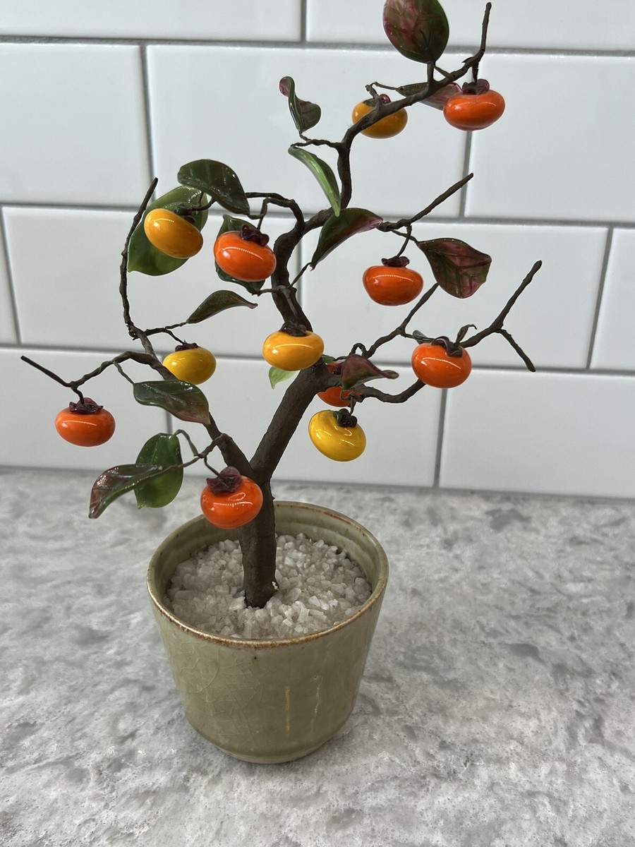 Rare Japanese Lucky Glass Persimmon Fruit Bonsai Tree | eBay