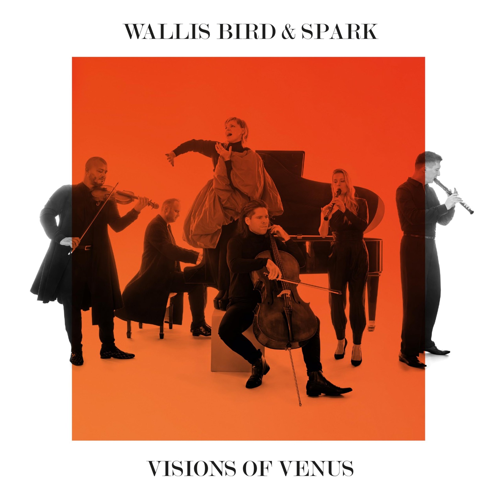 0303321NM Wallis Bird Visions of Venus LP Vinyl NEW