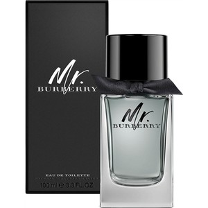 mr burberry mens perfume