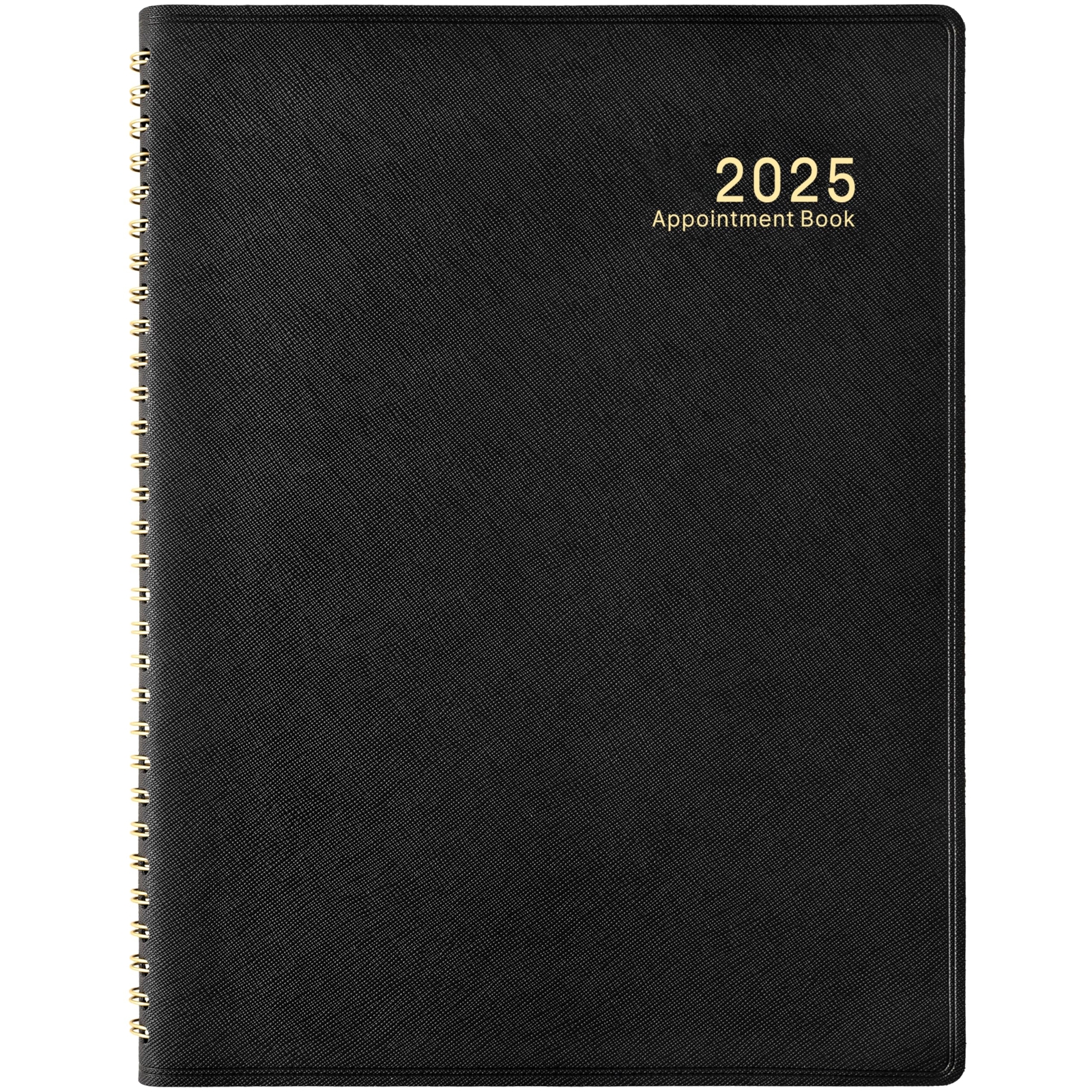 2025 Appointment Book/Planner - 53 Weeks Daily Planner 2025 January -December...