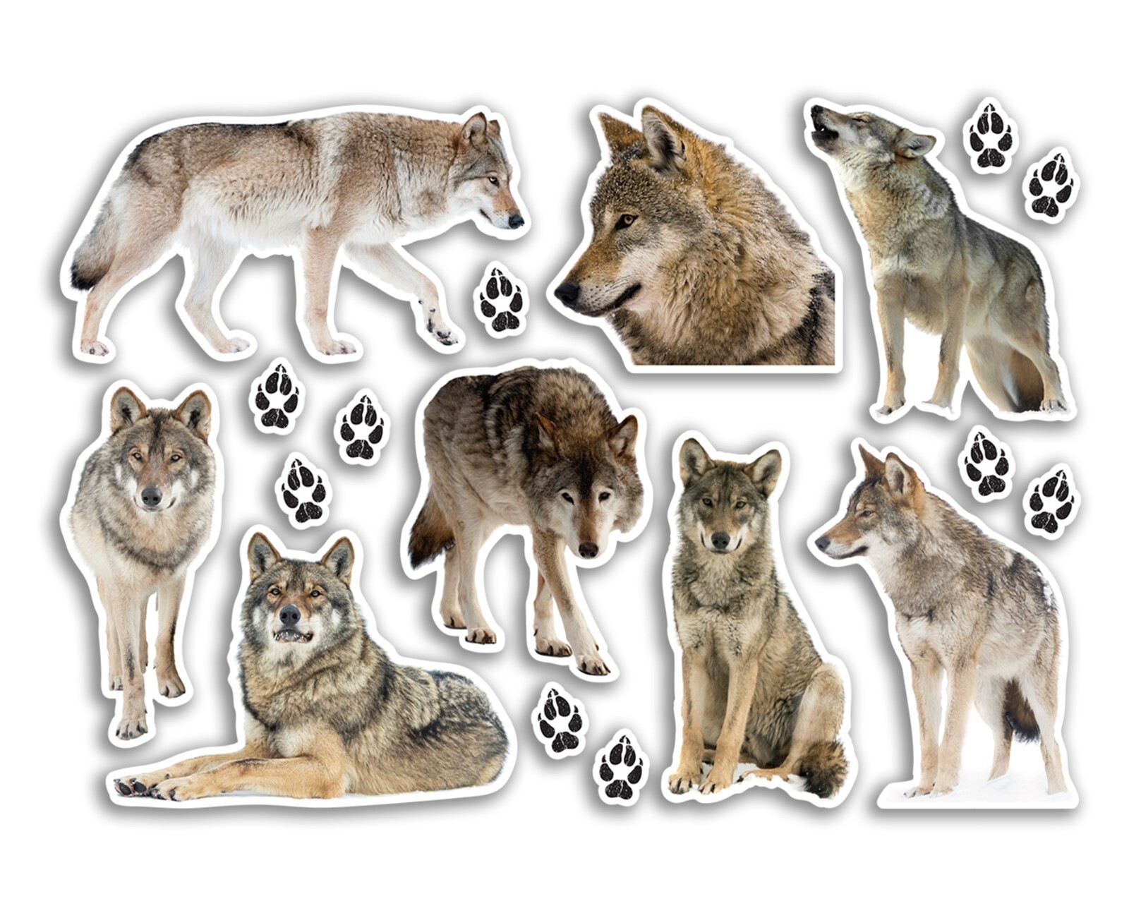 A5 Sticker Sheet Border Terrier Vinyl Stickers - Dogs Pet Puppy Scrapbook #82583 - Image 32