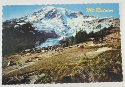 Mount Rainier Washington Postcard - Unposted