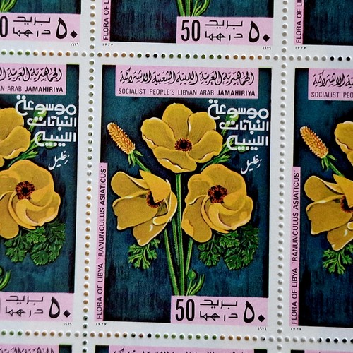 Libya 1979 MNH 100 Stamps 5 Full Sheets - Africa Arabic Flowers - Picture 4 of 12