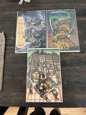 Teenage Mutant Ninja Turtles #20 (300) 3 Book...