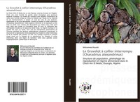 Le Gravelot à Collier Interrompu (Charadrius Alexandrinus) Mohammed Kouidri