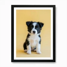 Border Collie Puppy.Generated AI. W Framed Wall Art Poster Canvas Print Picture