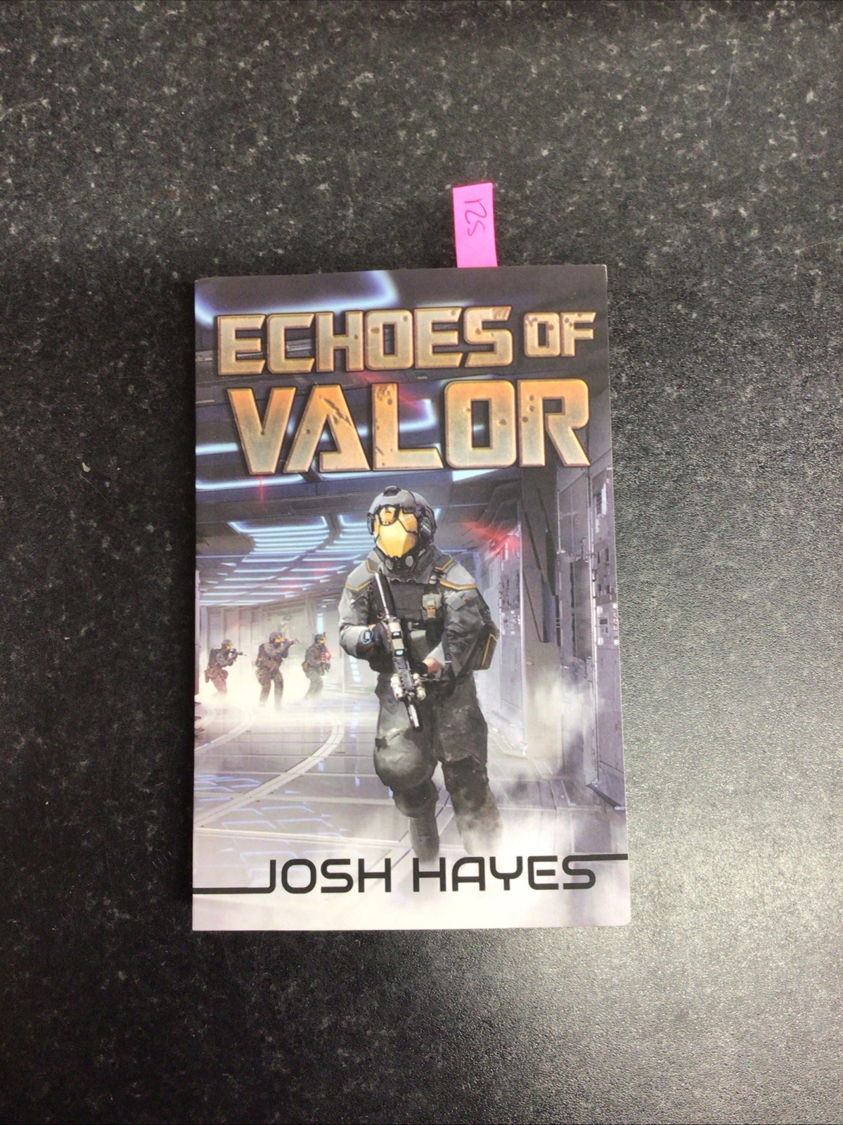 Hayes - Echoes of Valor  Valor Book Two - paperback Book