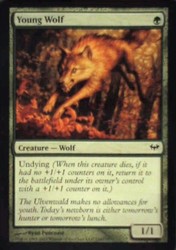 Young Wolf - Dark Ascension #134 Common