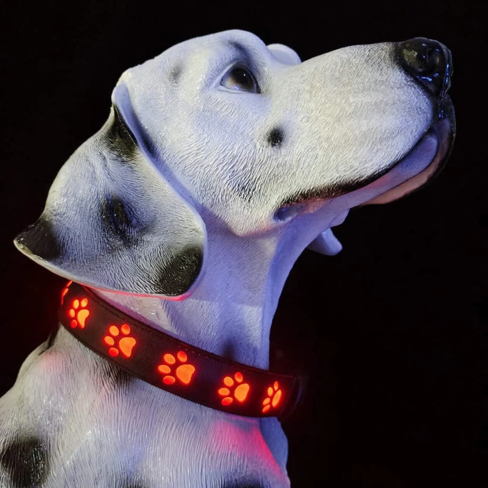 LED Hundehalsband - Bild 4 von 4
