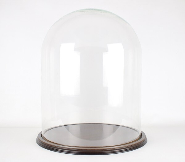 Large Glass Dome Cloche Jar Bell With Wooden Base Vintage Look 50 x 40cm