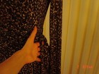 Picture 5 of 9