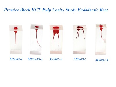 Rct Endo Block 10Pcs Dental Endo Root Canal Teeth Model Study RCT Pulp Cavity Practice ...