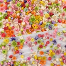 Mini Dried Flowers Colorful Small Dried Gypsophila Flowers for Candle, Soap, ...