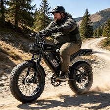 3000W Peak Electric Bike for Adults, 20" Fat Tire 33MPH 100-Mile 48V 20Ah E-Bike