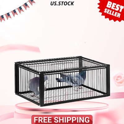 NEW Pigeon Trap Cage One Way Entrance Escape Proof Bird Trap Medium Outdoor