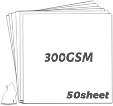 YINUOYOUJIA Cardstock 12 X 12" Thick Paper, 300Gsm/110Lb Construction Paper 50 S