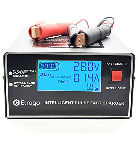 Etrogo Caricabatteria Auto 12V 24V 10A 250W Caricatore di Impulsi (u3j)