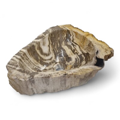 Fossilized Wood Sink Natural Stone Countertop 41X30Cm Guest Bathroom Brown Black