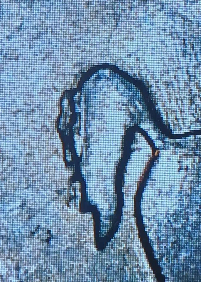 2007P Wyoming State Quarter Pooping Horse + Die Break Chip Mint Error Coin - Image 3 of 4