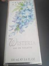 wisteria amethyst falls winterhart Amethyst Falls Wisteria Vine – shopgirlscrew3b.com main image 0