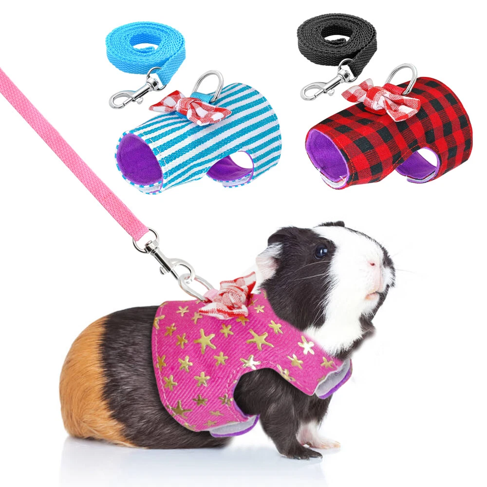Guinea pig harness and lead sales