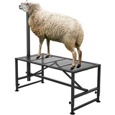 Goat  Sheep Stand,47x23 inch Livestock Stand,Metal Livestock Milking and Shear