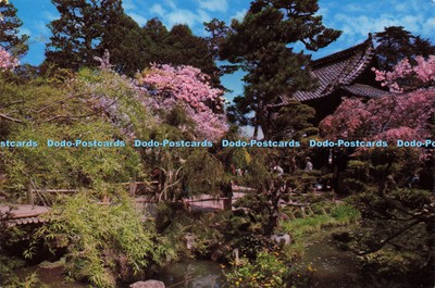D195121 Willow Tree Kirschblüten und Pool Japanischer Teegarten Sandor Balatoni