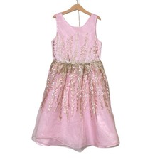 American Princess Girl 12 Floral Embroidery Pink Dress Tulle Embellish Waist