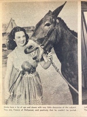 Atlanta Georgia Print Article 1950 ATL AJC Library Research Mule Girl O Donnell
