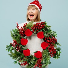 12-Pack Red Christmas Apple Ornaments for Holiday Party,Festive Tree Decorations