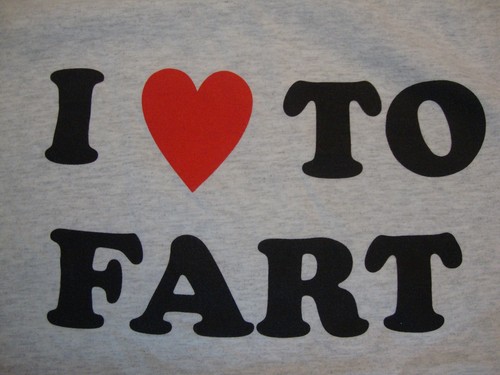 Fart Funny Gray T Shirt Size XL | eBay