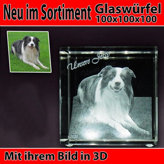 C100 3D Foto im Glas Gravur Geschenkidee 2D in 3D zu Weihnachten Hund Haustier C100 3D Foto im Glas Gravur Geschenkidee 2D in 3D zu Weihnachten Hund Haustier