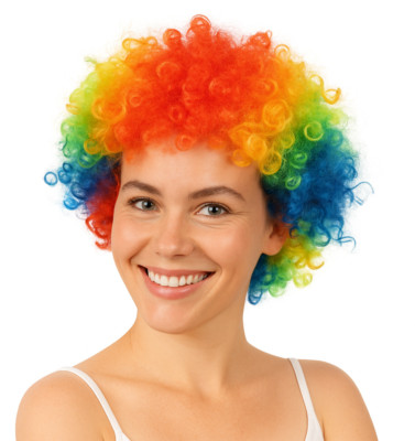 Regenbogen Afro Perücke Kostüm Verkleidung Halloween Clown Haare bunt Zirkus