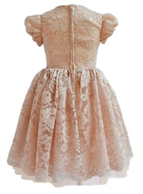 dress rose gold lace Rose Gold Mother Of The Bride Dresses Cap Sleeves Embroidered Long Mother Gown