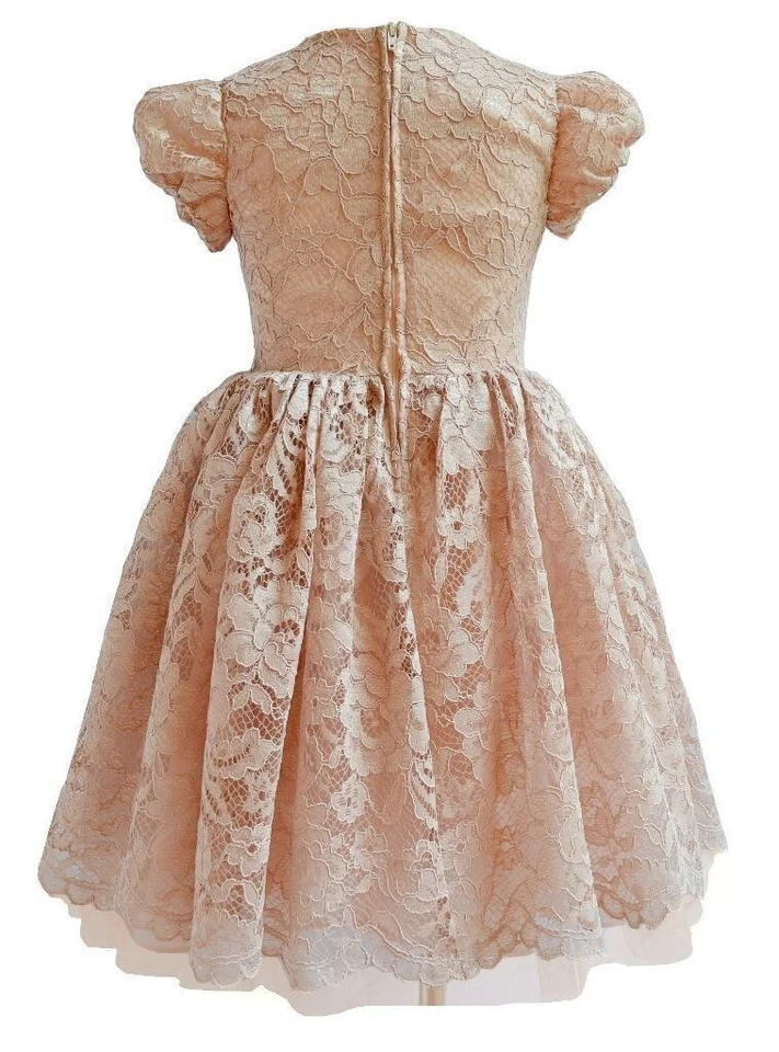 Calcinha social floral renda acastanhada bebê meninas 6-9 meses nova com etiquetas Bonnie Jean - Imagem 2 de 3